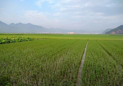 1649227795626377.png image.png