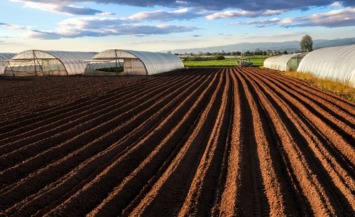 1652764960864475.png image.png