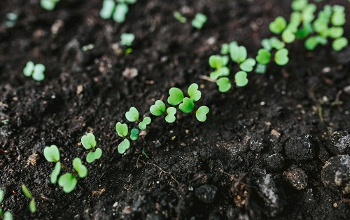 1666073674205947.png image.png