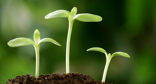 1673421555144329.png image.png